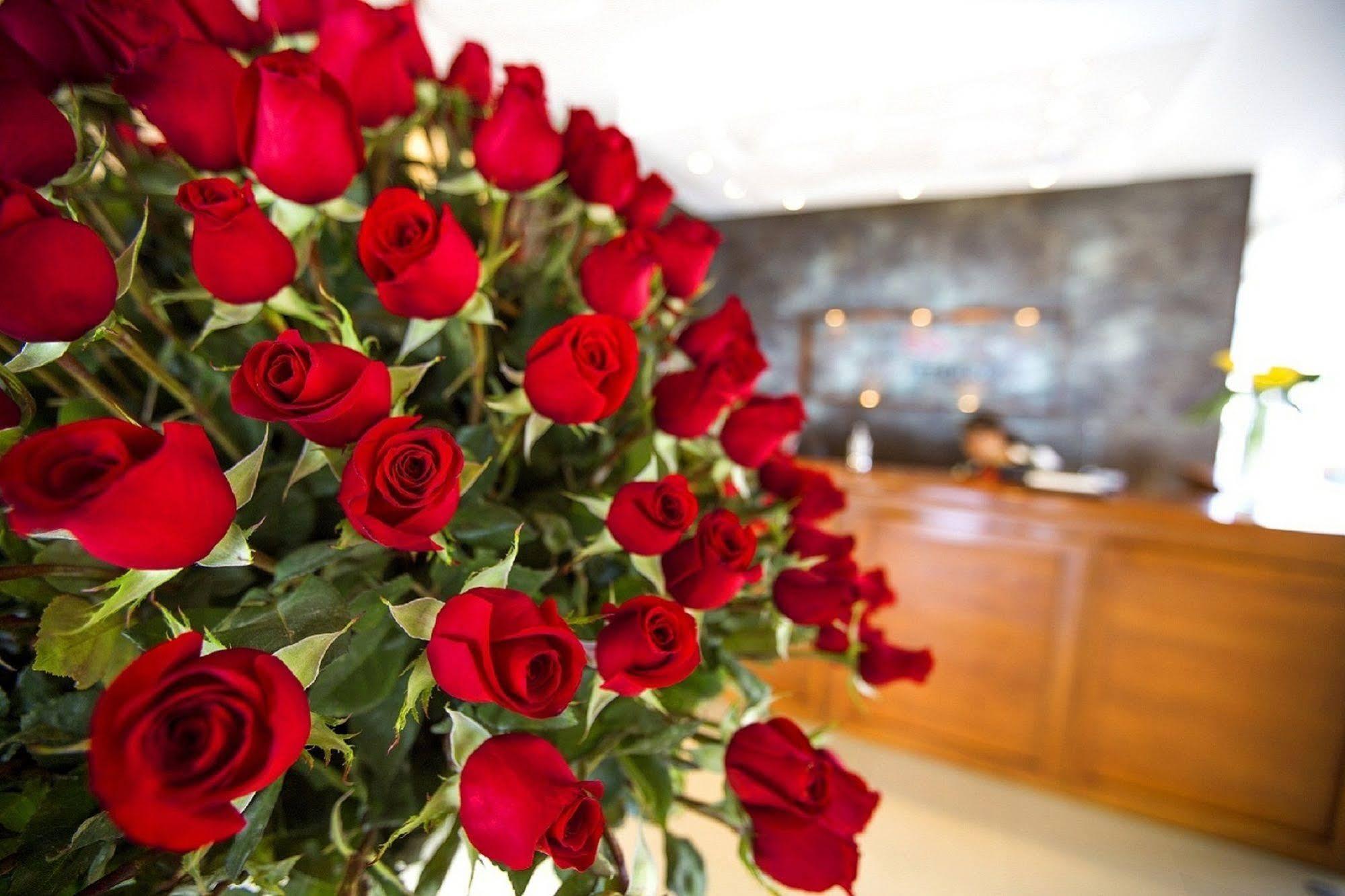 Hotel Ambato Zewnętrze zdjęcie